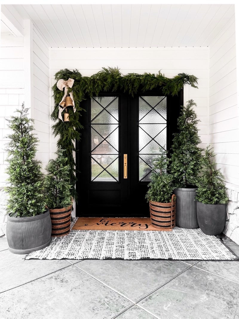 potted evergreen trees